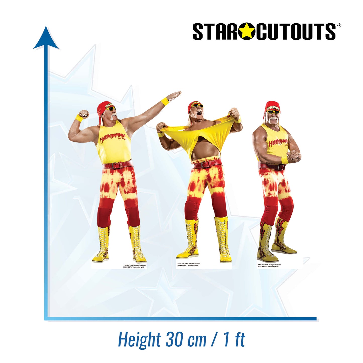 SC4580  Hulk Hogan Three Shelf Top Cardboard Cut Out Height 30cm