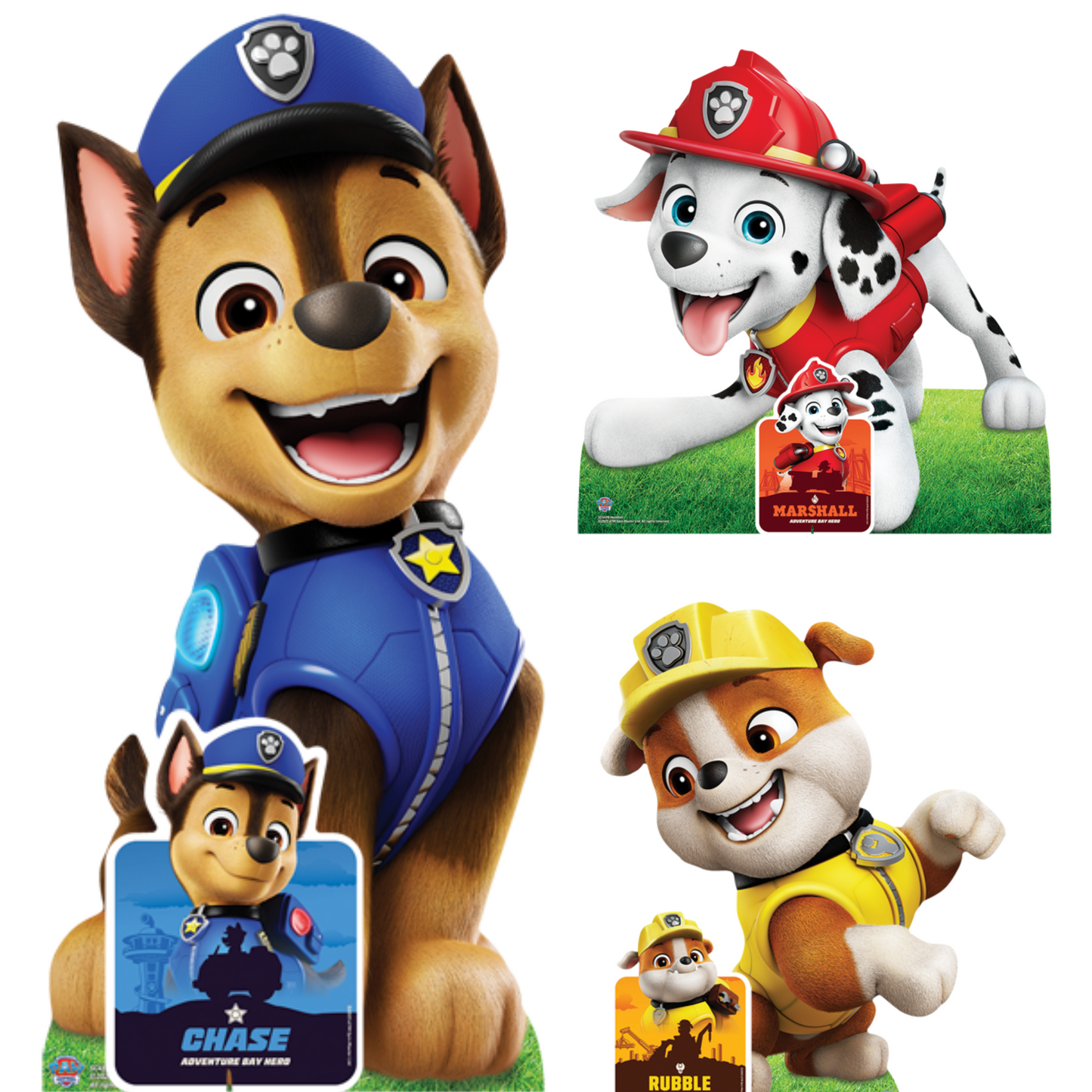 Paw Patrol Party Decorations