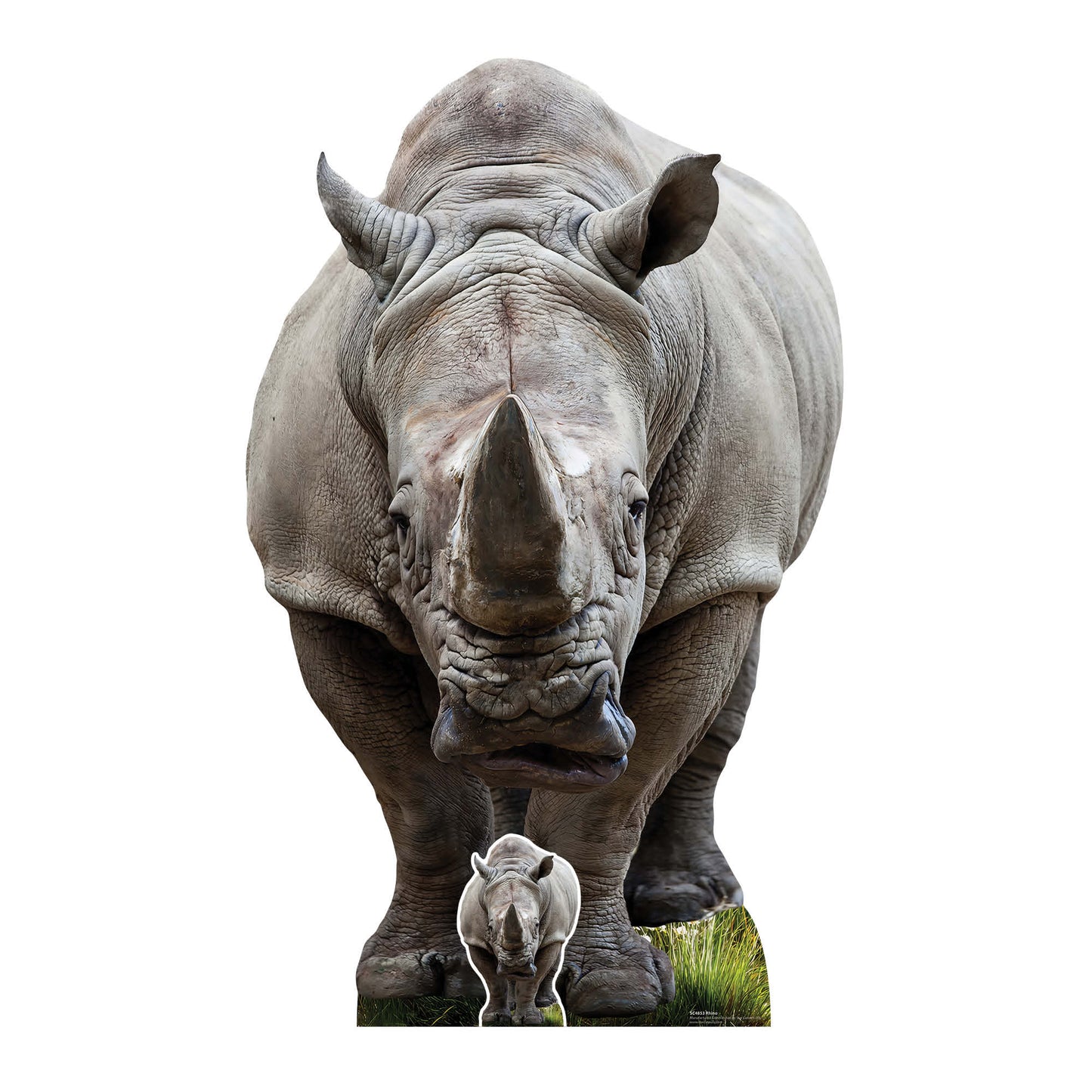 SC4853 Young Rhino  Cardboard Cutout Height 152cm