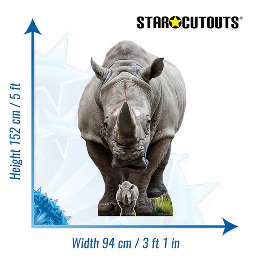 SC4853 Young Rhino  Cardboard Cutout Height 152cm