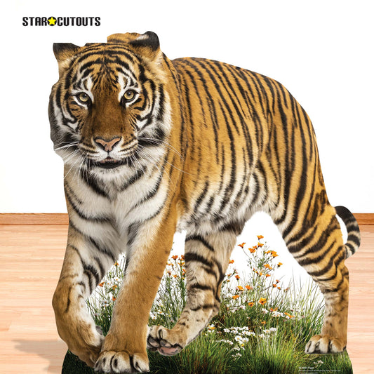 SC4854 Wild Tiger Prowling Cardboard Cutout Height 93cm