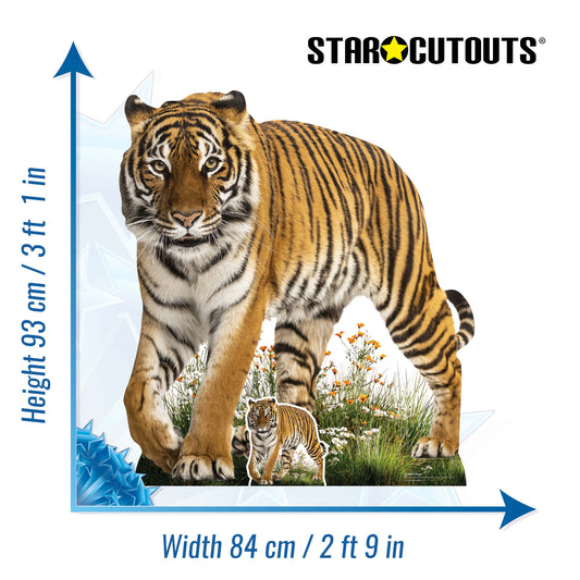 SC4854 Wild Tiger Prowling Cardboard Cutout Height 93cm