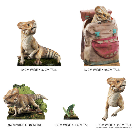 SC4860 Aquilops Dinosaur Jurassic World Rebirth   Cardboard Cut Out Height 48cm