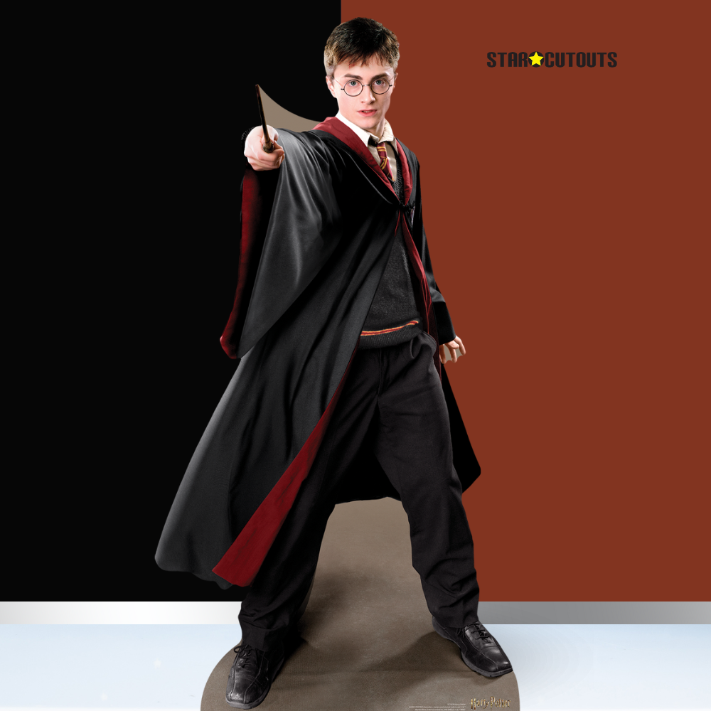 Harry Potter Quidditch Captain Cardboard Cutout Lifesize - mycardboardcutout