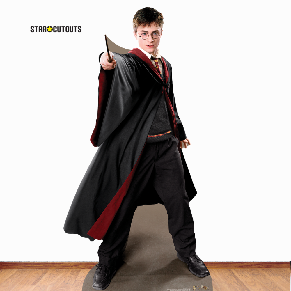 Harry Potter Quidditch Captain Cardboard Cutout Lifesize - mycardboardcutout