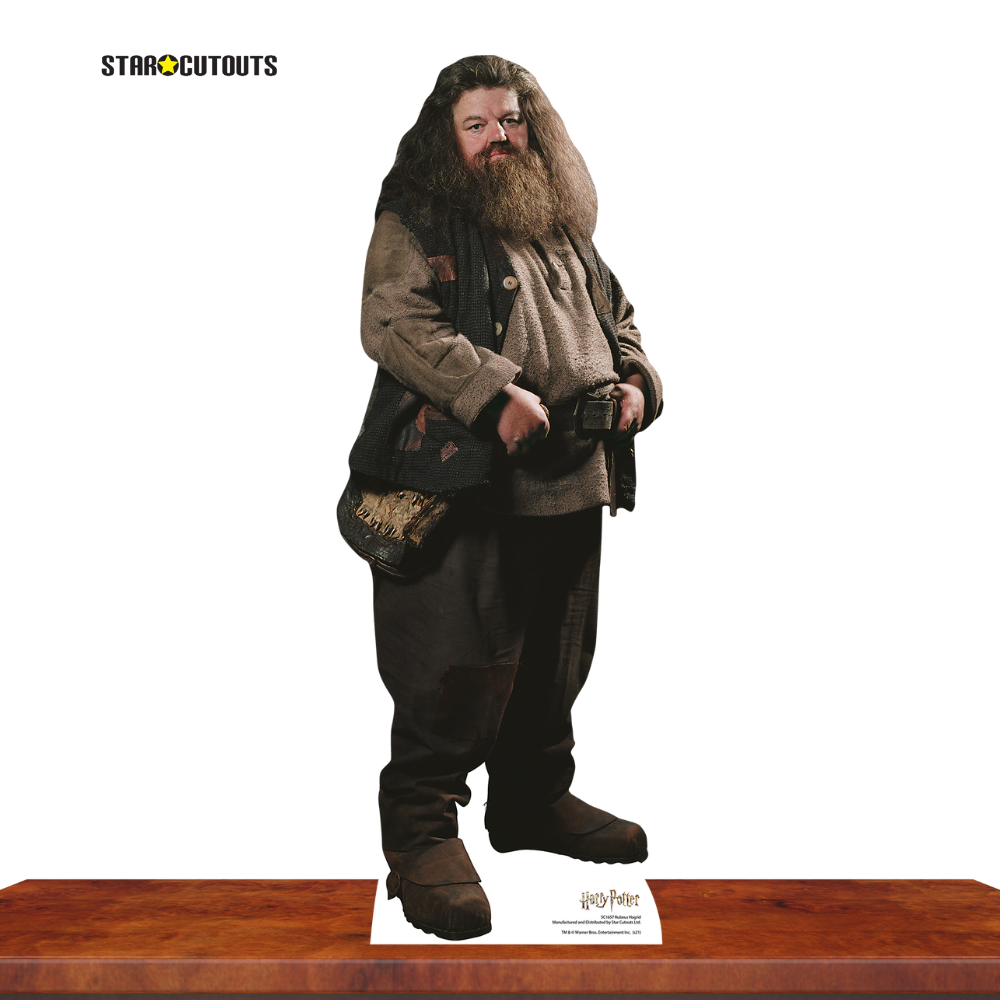 SC1964 Hagrid Star Mini Cardboard Cut Out Height 91cm - mycardboardcutout