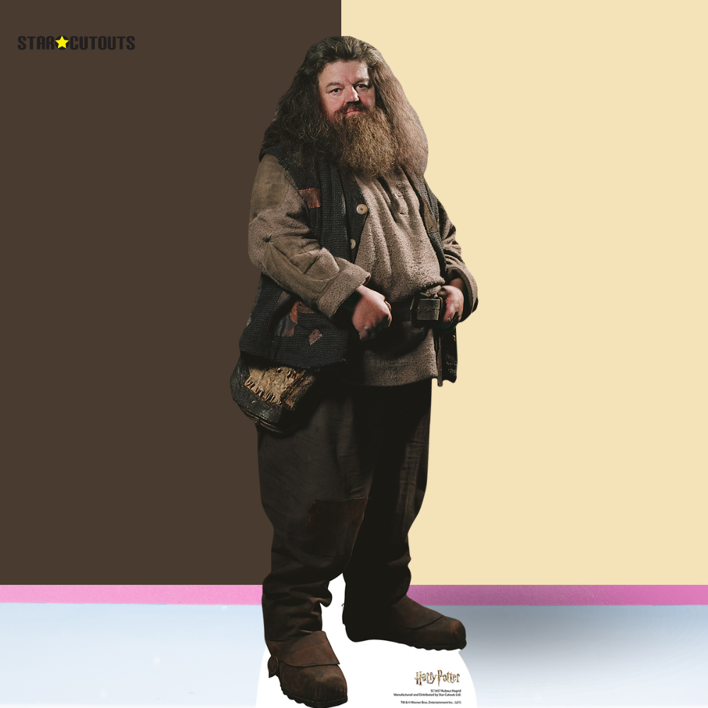 SC1964 Hagrid Star Mini Cardboard Cut Out Height 91cm - mycardboardcutout