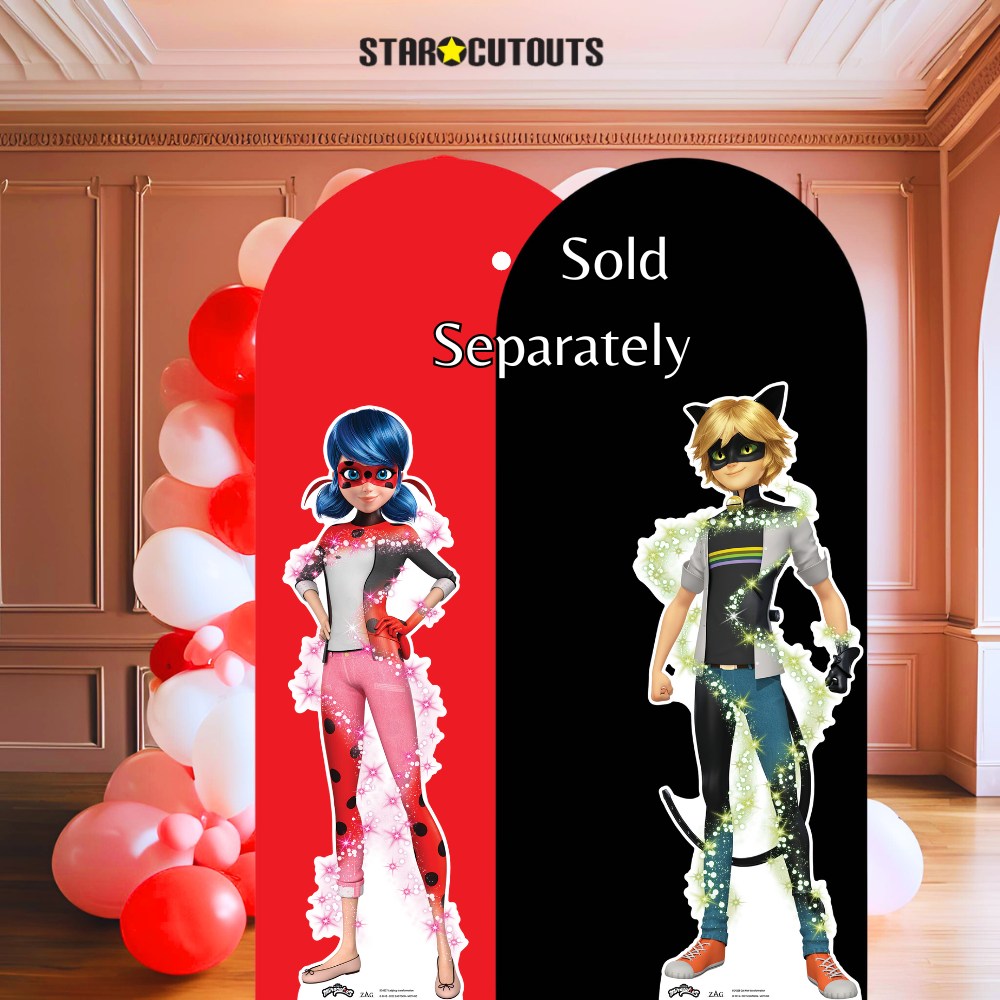 Cat Noir Transformation Star Mini Cardboard Cut Out Height 95cm - mycardboardcutout
