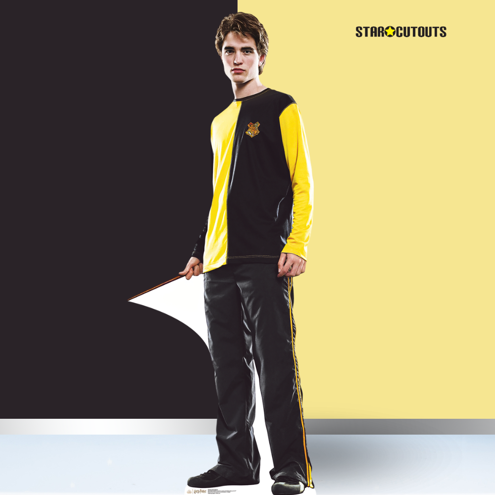 SC4283 Cedric Diggory Harry Potter Cardboard Cutout With Mini - mycardboardcutout
