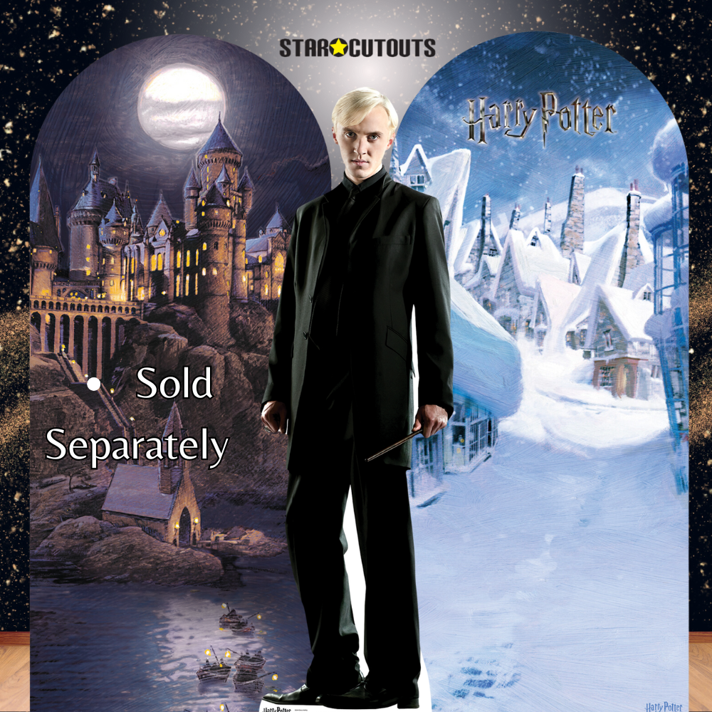 Draco Malfoy Cardboard Cutout Lifesize - mycardboardcutout