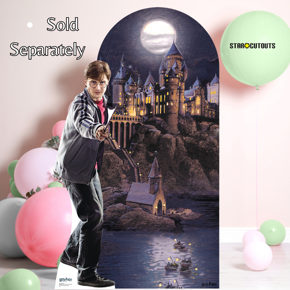 Harry Potter Cardboard Cutout Lifesize - mycardboardcutout