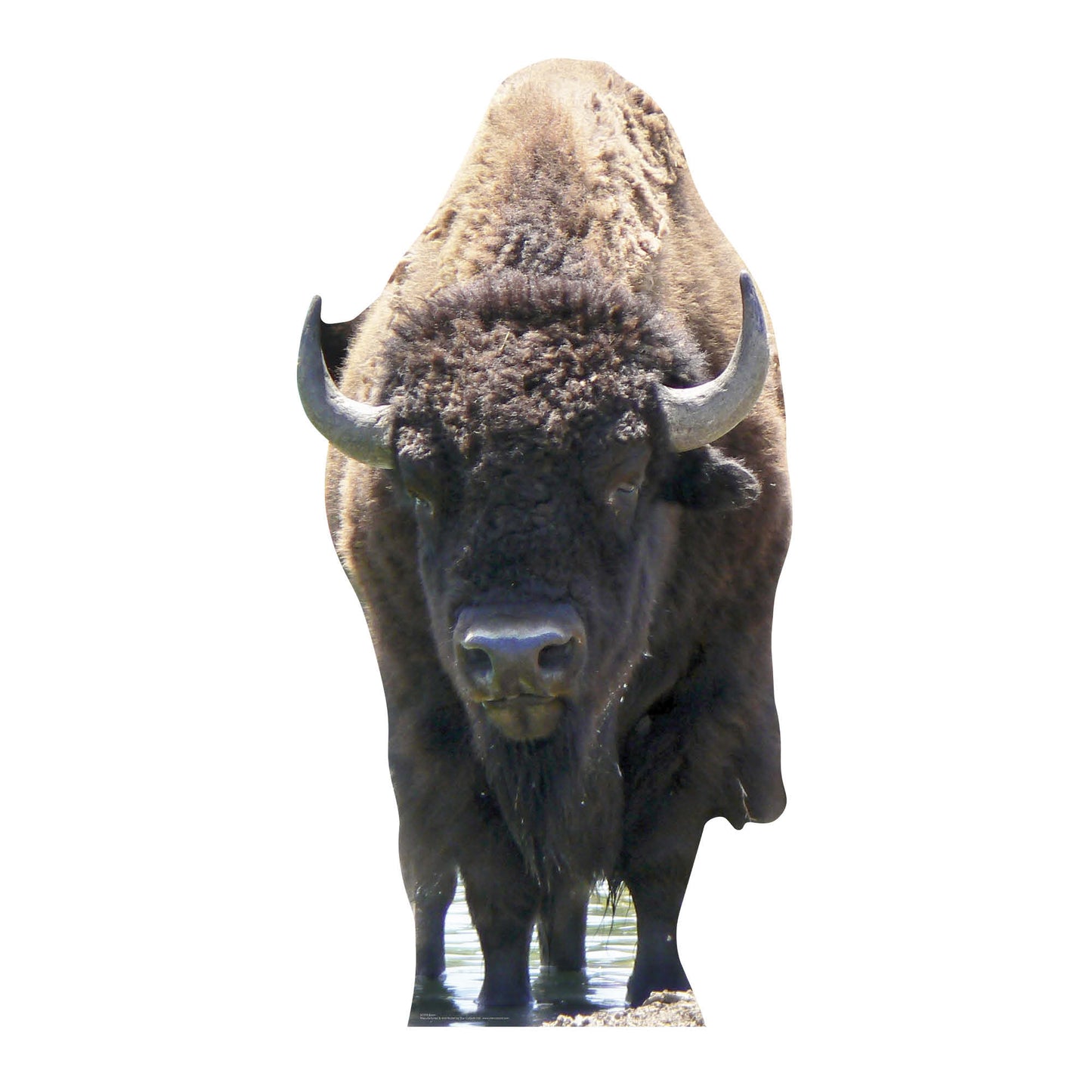 Bison Buffalo America Theme Animal Cardboard Cutout