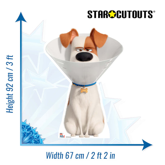 Max the Dog wearing a Cone Collar Cardboard Cutout - mycardboardcutout