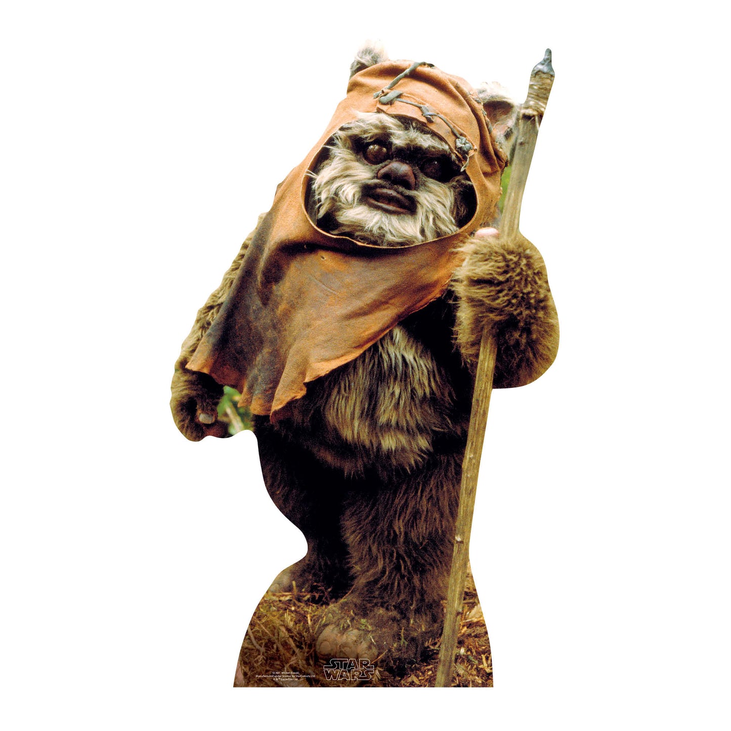 Wickett Ewok Small Cardboard Cutout