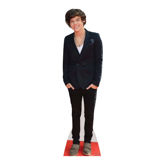 Harry Styles Boyband Cardboard Cutout