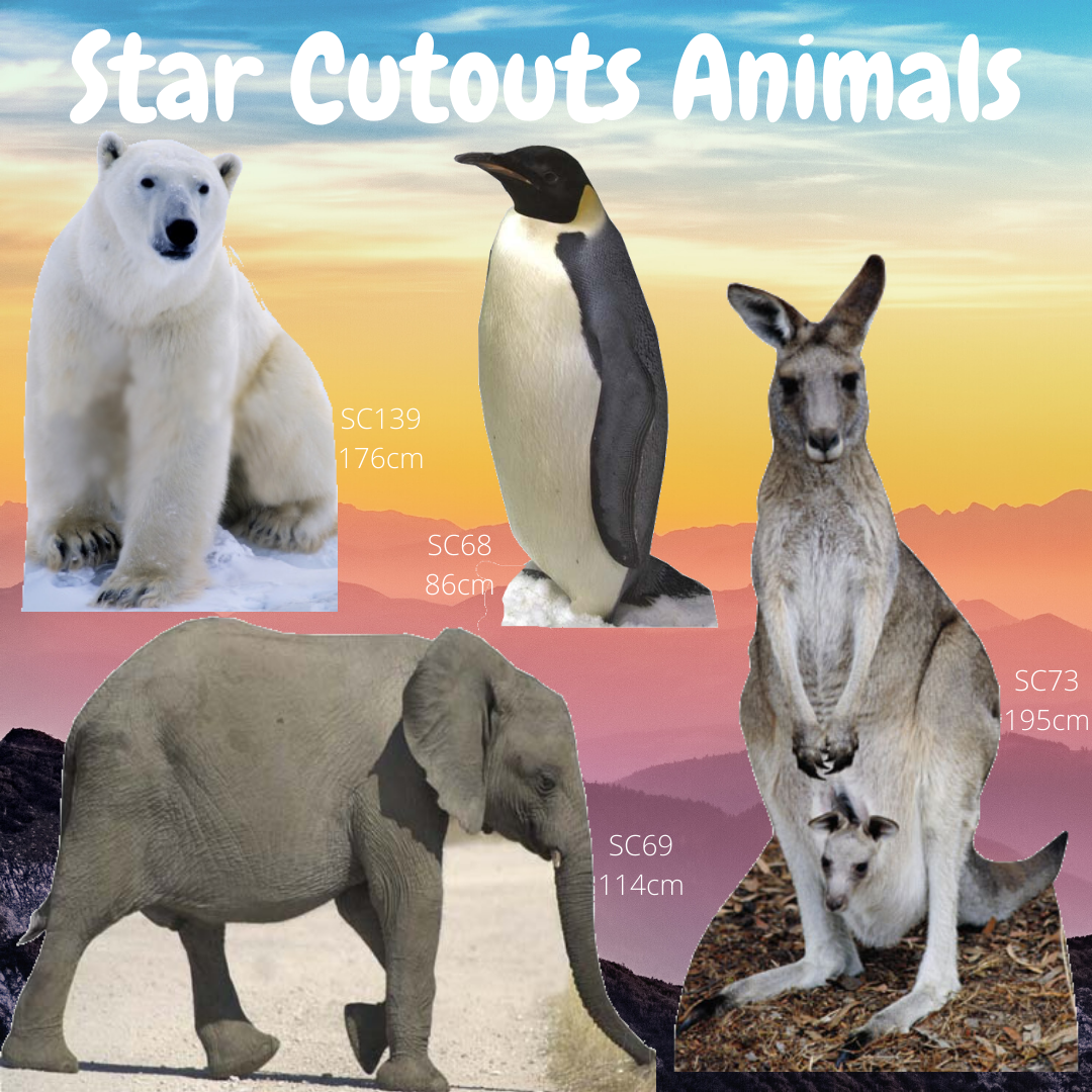 Penguin Wildlife Theme Animal Cardboard Cutout
