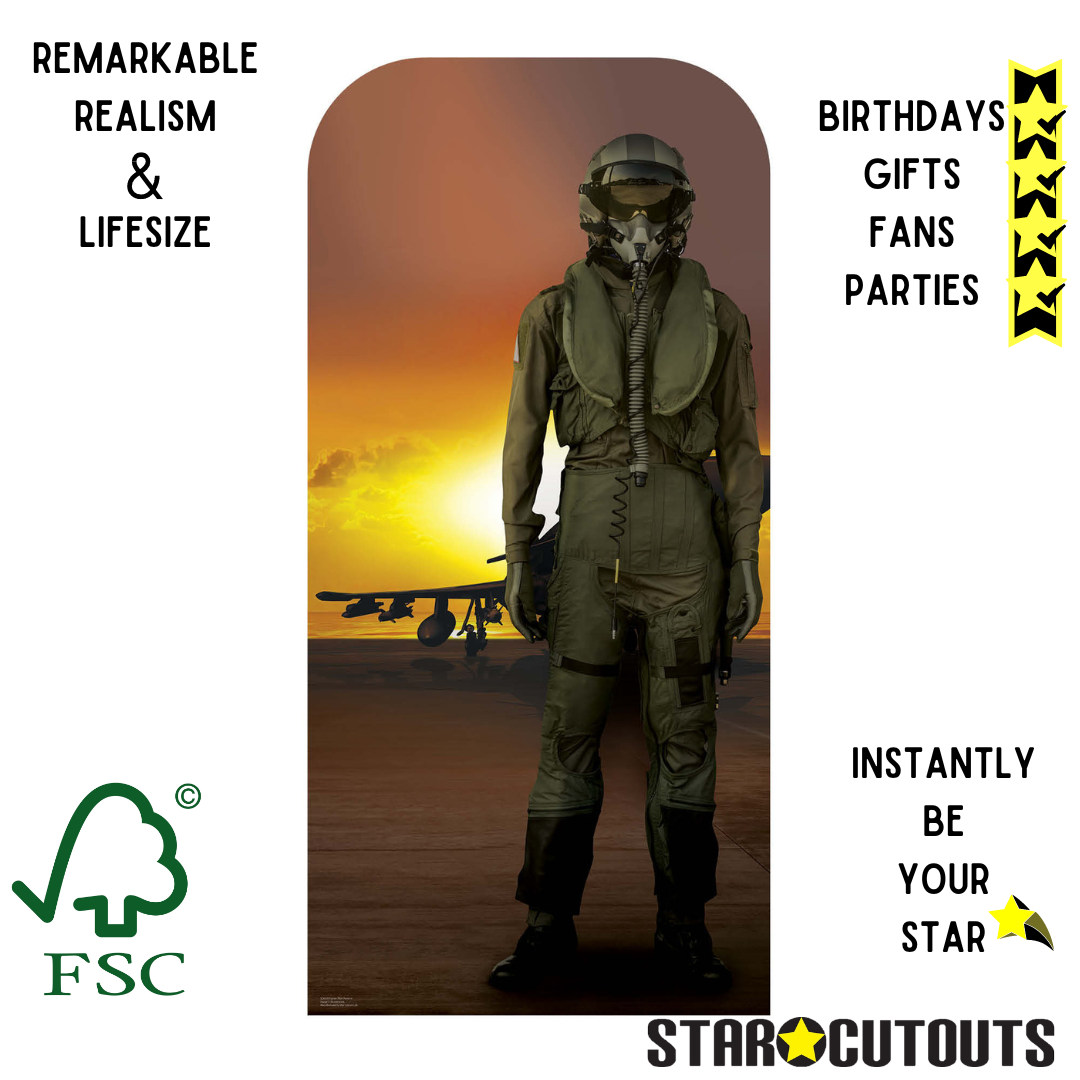 Fighter Pilot Stand In Cardboard Cutout - mycardboardcutout