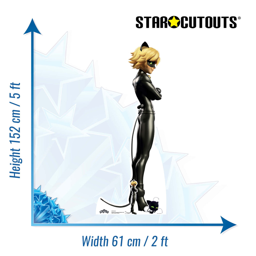 Miraculous Cat Noir Cardboard Cutout mycardboardcutout