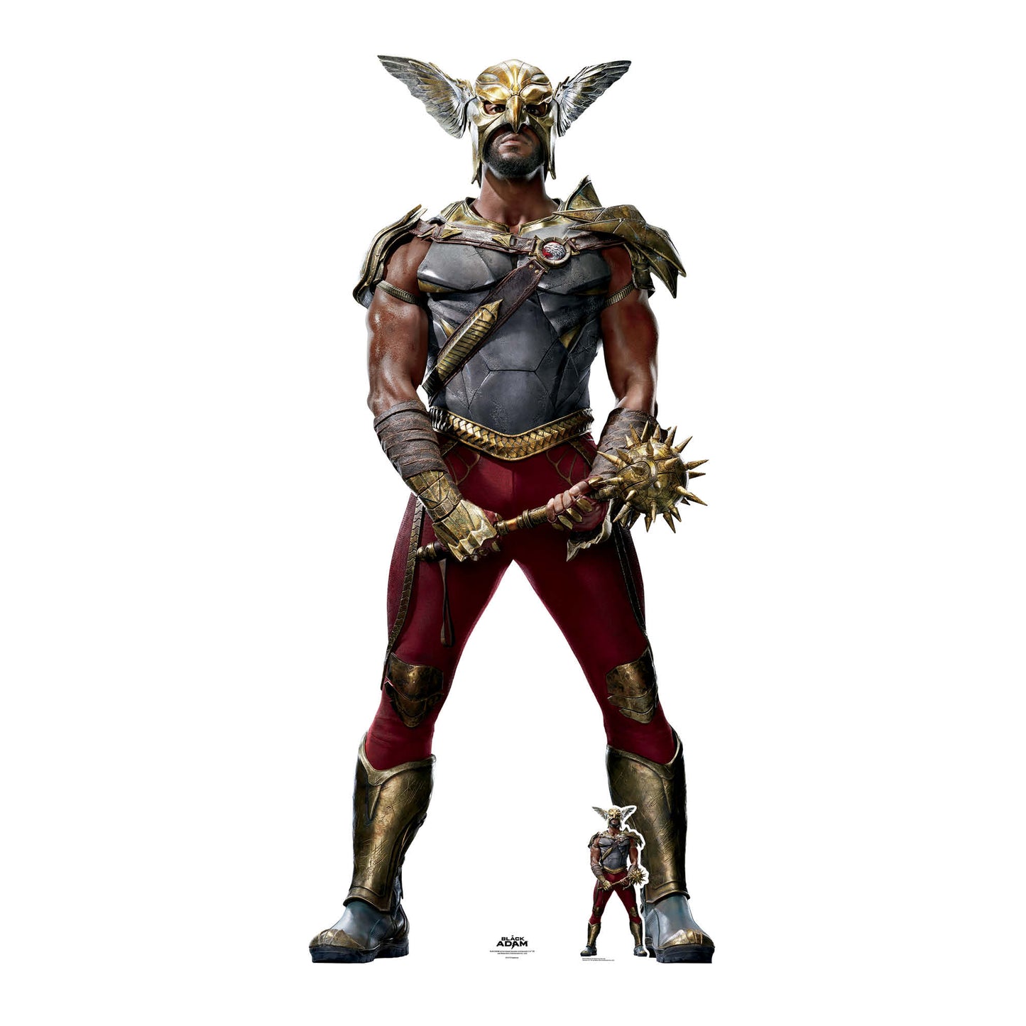 Black Adam Hawkman Cardboard Cutout