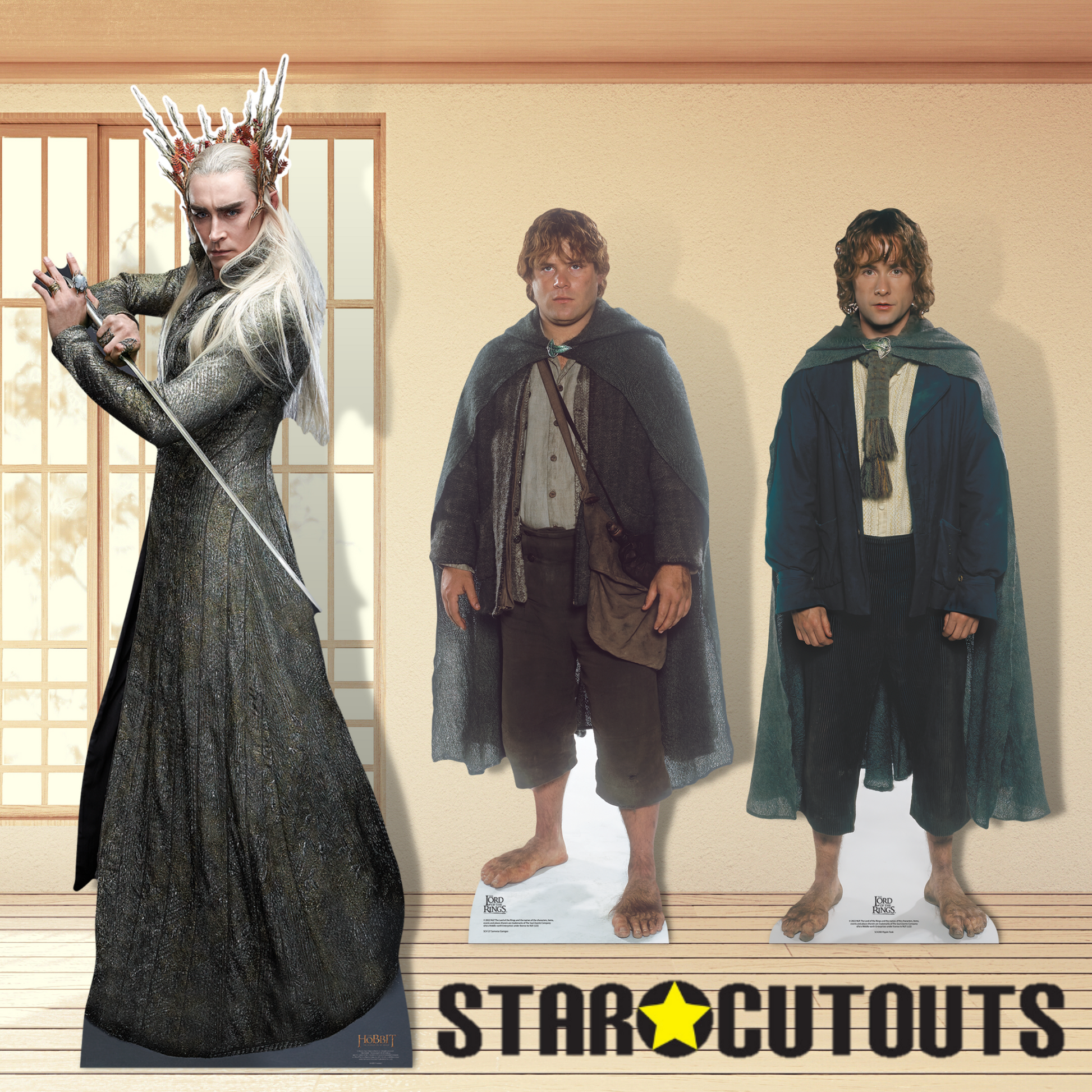 Pippin Lord of the Rings Cardboard Cutout - mycardboardcutout
